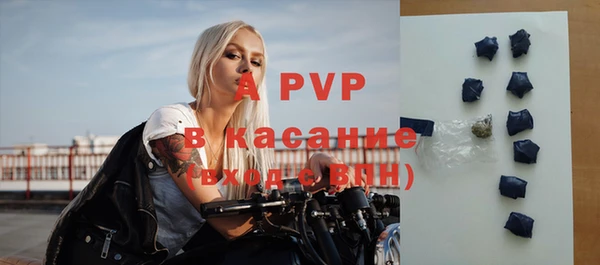 2c-b Инсар